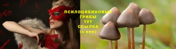 гашиш Абаза