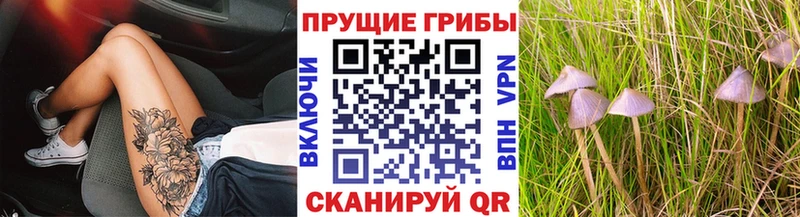 Псилоцибиновые грибы прущие грибы  Вилюйск 